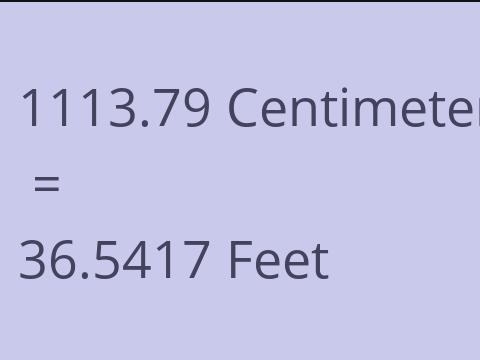 1113.79 CM TO FEET