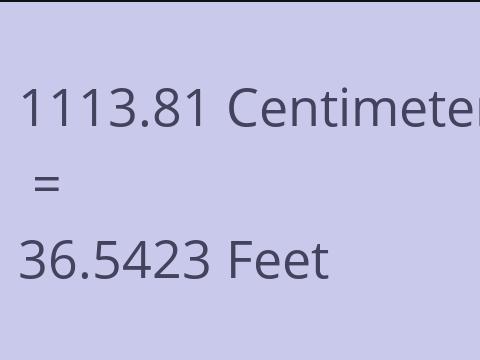 1113.81 CM TO FEET