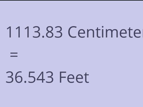 1113.83 CM TO FEET