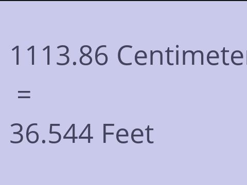 1113.86 CM TO FEET