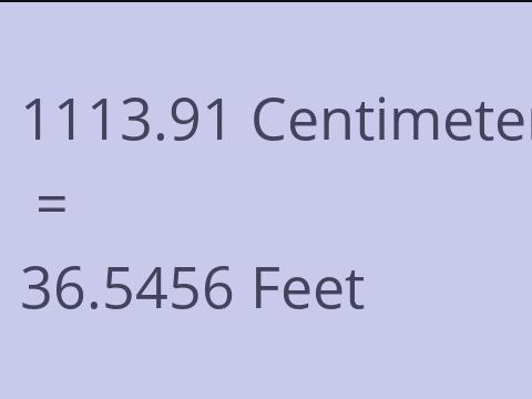 1113.91 CM TO FEET