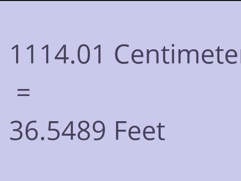 1114.01 CM TO FEET