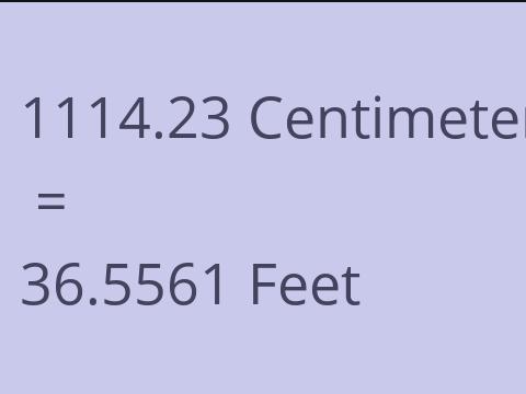 1114.23 CM TO FEET