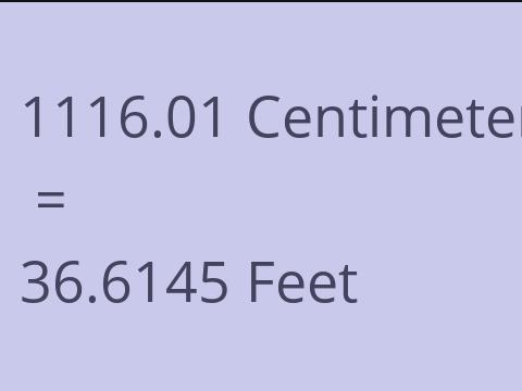 1116.01 CM TO FEET