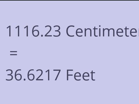 1116.23 CM TO FEET