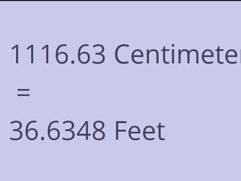 1116.63 CM TO FEET