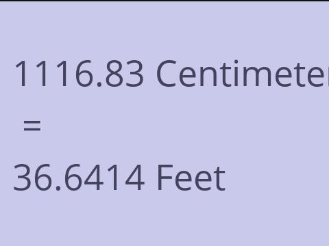 1116.83 CM TO FEET