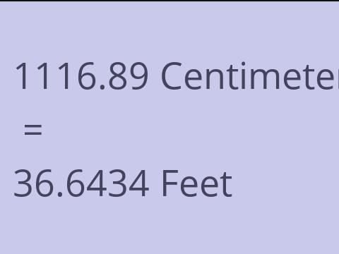 1116.89 CM TO FEET