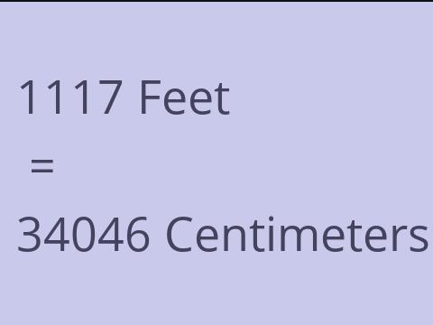 1117 FEET TO CM