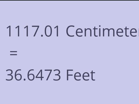 1117.01 CM TO FEET