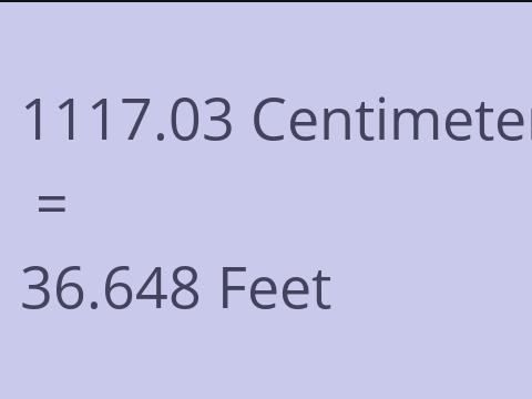 1117.03 CM TO FEET