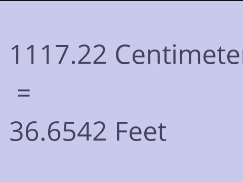 1117.22 CM TO FEET