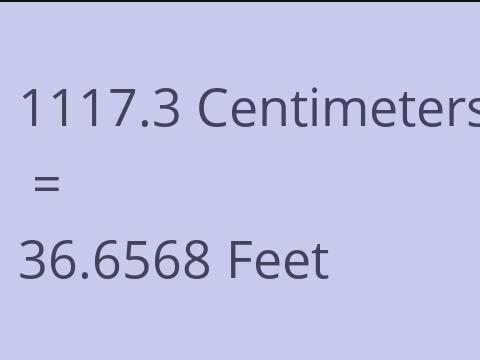 1117.3 CM TO FEET