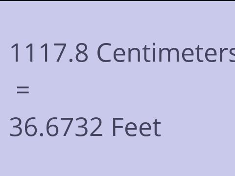 1117.8 CM TO FEET