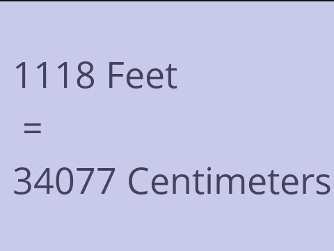 1118 FEET TO CM