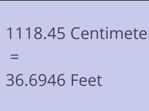 1118.45 CM TO FEET