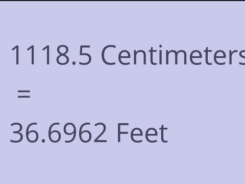 1118.5 CM TO FEET