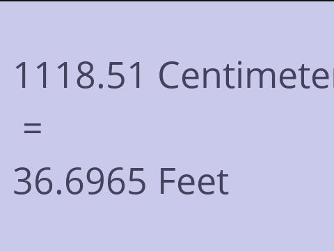 1118.51 CM TO FEET