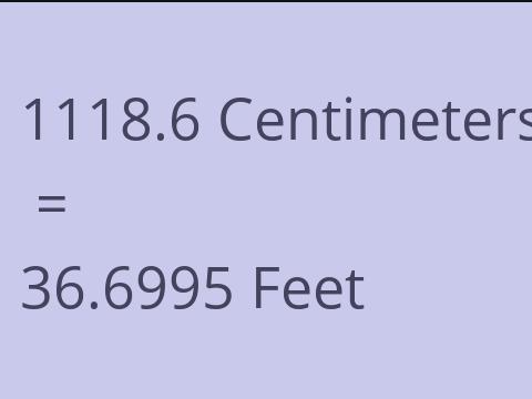 1118.6 CM TO FEET