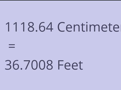 1118.64 CM TO FEET