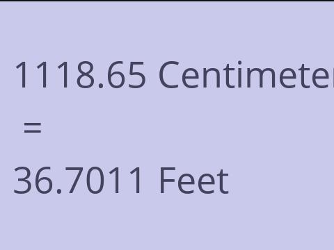 1118.65 CM TO FEET