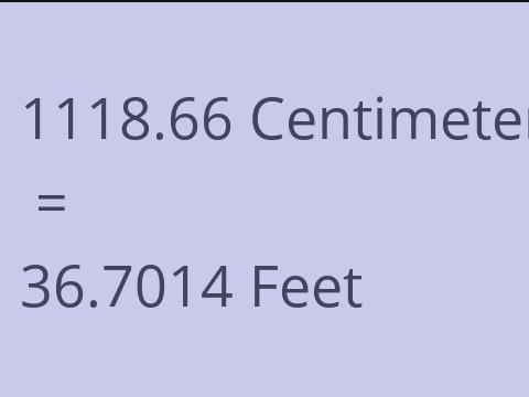 1118.66 CM TO FEET