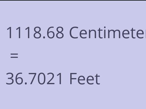 1118.68 CM TO FEET