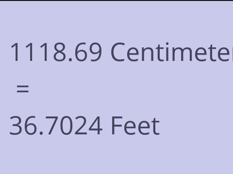 1118.69 CM TO FEET