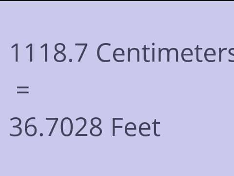 1118.7 CM TO FEET