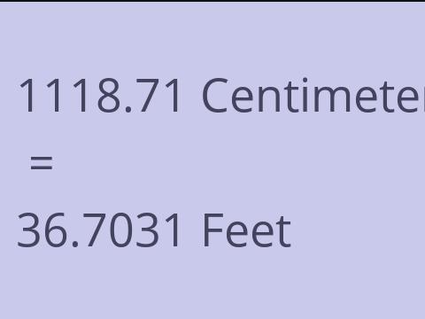 1118.71 CM TO FEET