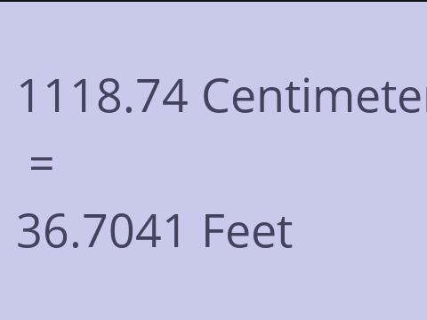 1118.74 CM TO FEET