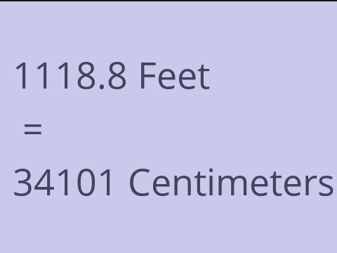 1118.8 FEET TO CM