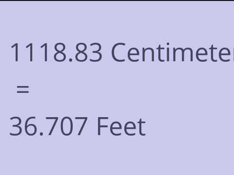 1118.83 CM TO FEET