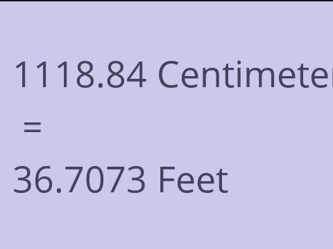 1118.84 CM TO FEET