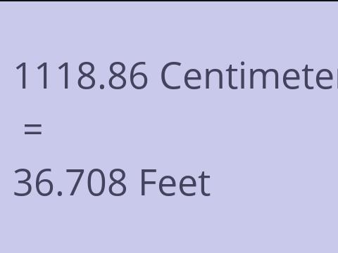 1118.86 CM TO FEET