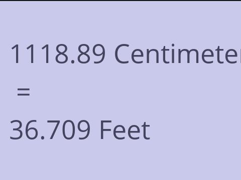 1118.89 CM TO FEET