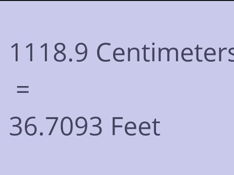 1118.9 CM TO FEET