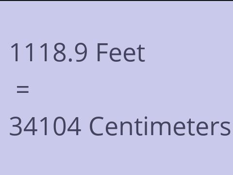 1118.9 FEET TO CM