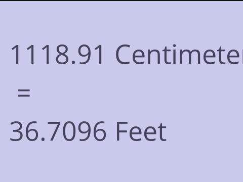 1118.91 CM TO FEET