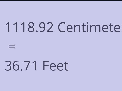 1118.92 CM TO FEET