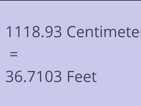 1118.93 CM TO FEET