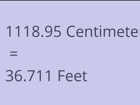 1118.95 CM TO FEET