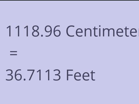 1118.96 CM TO FEET