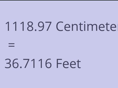 1118.97 CM TO FEET