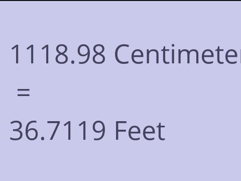 1118.98 CM TO FEET