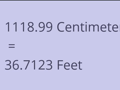 1118.99 CM TO FEET