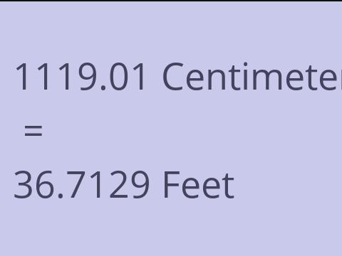 1119.01 CM TO FEET