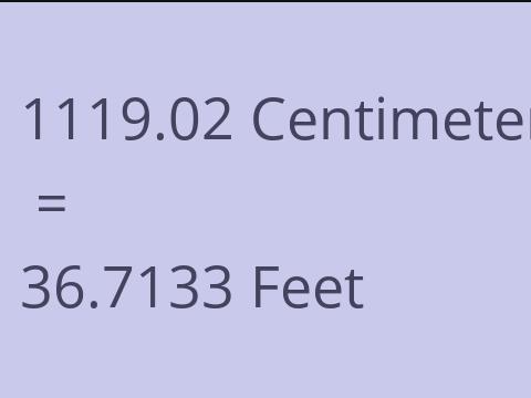 1119.02 CM TO FEET