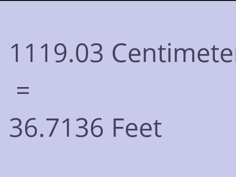 1119.03 CM TO FEET