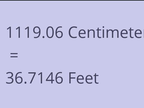 1119.06 CM TO FEET